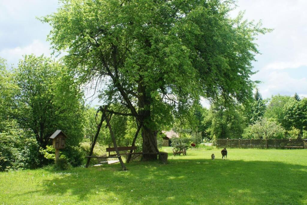 Agroturystyka Ropienka Exterior foto